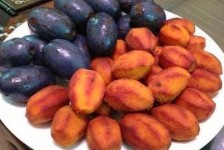 co ỏm phú thọ