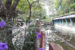 anh-dep-thanh-lam-0017