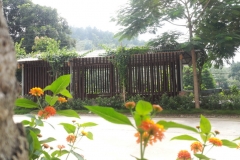 anh-dep-thanh-lam-0018